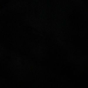 Meet your Posher, Maia